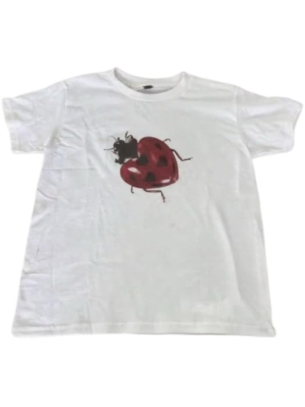 Whimsy Twee Clothes for Women Oversize Graphic Ladybug Tee Y2k Fashion Whimsical